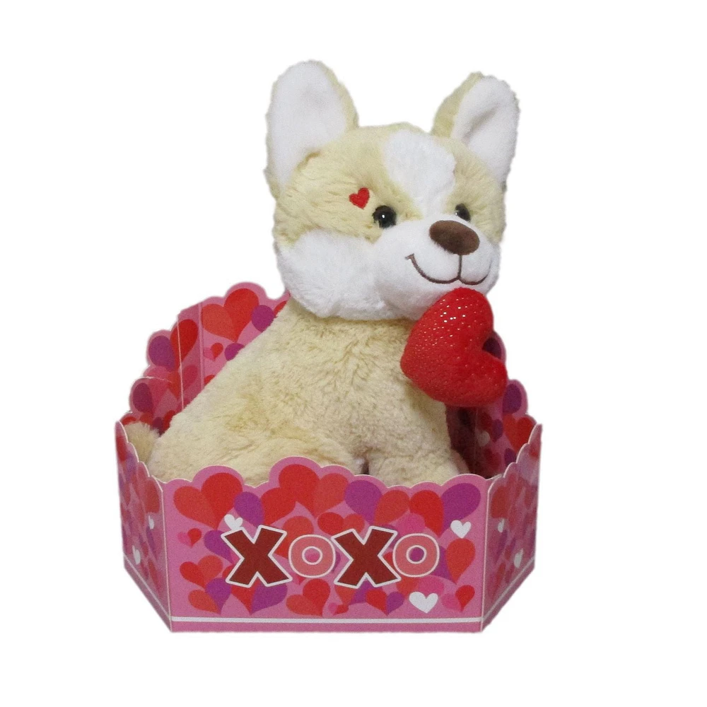 WAY TO CELEBRATE CREAM DOG PLUSH BOX SET. 10.5INCH