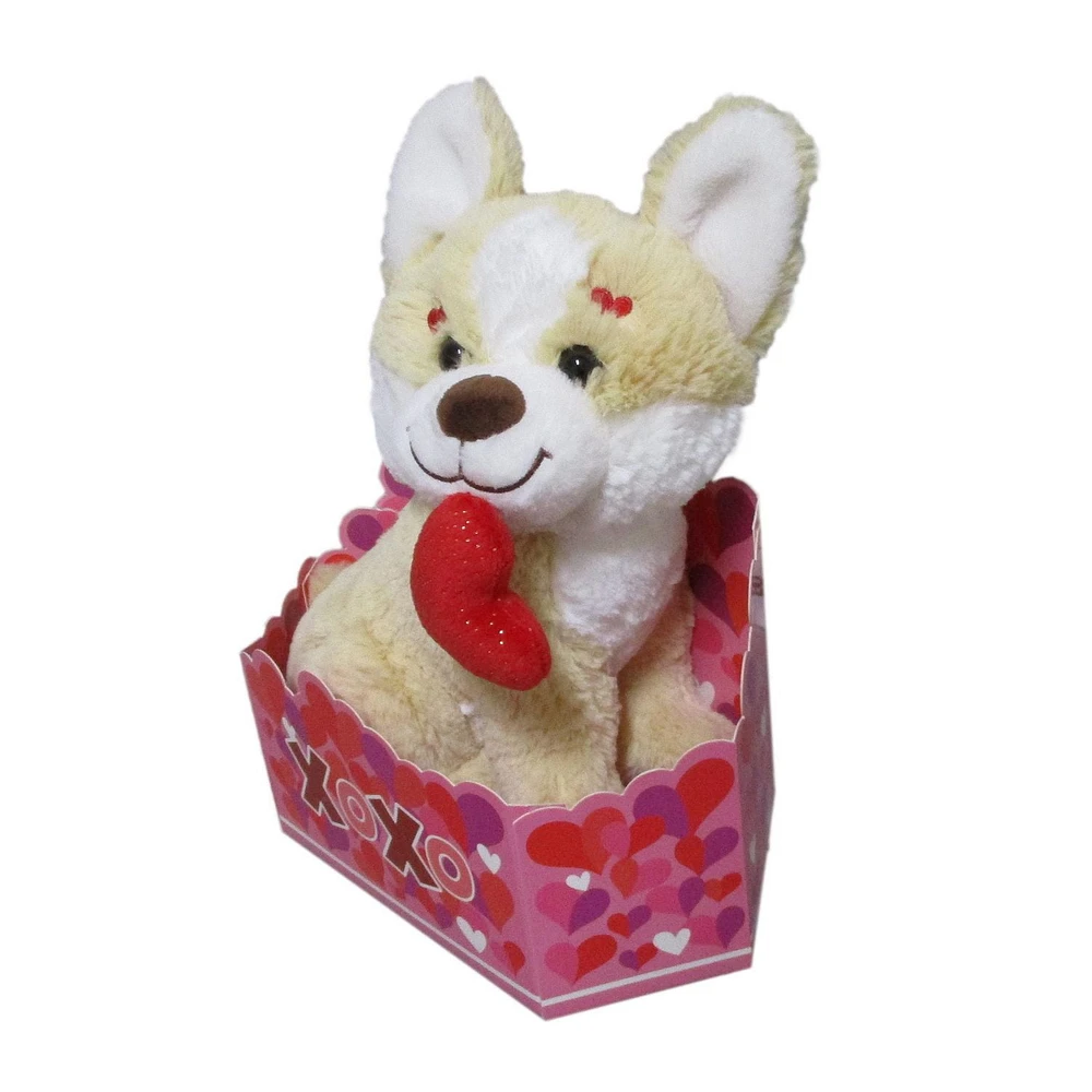 WAY TO CELEBRATE CREAM DOG PLUSH BOX SET. 10.5INCH