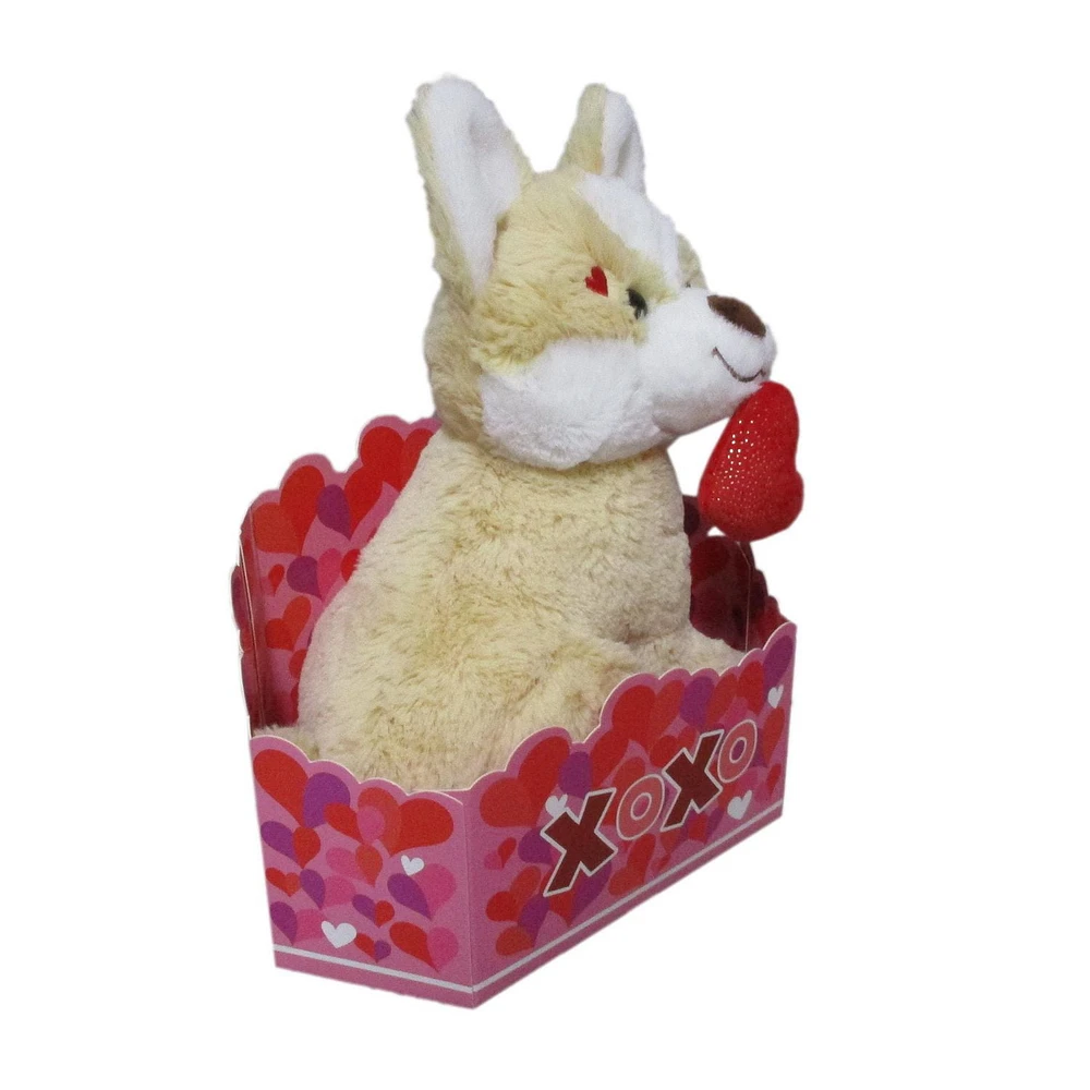 WAY TO CELEBRATE CREAM DOG PLUSH BOX SET. 10.5INCH