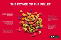 Zupreem FruitBlend Saveur Nourriture Pour Très Petits Oiseaux