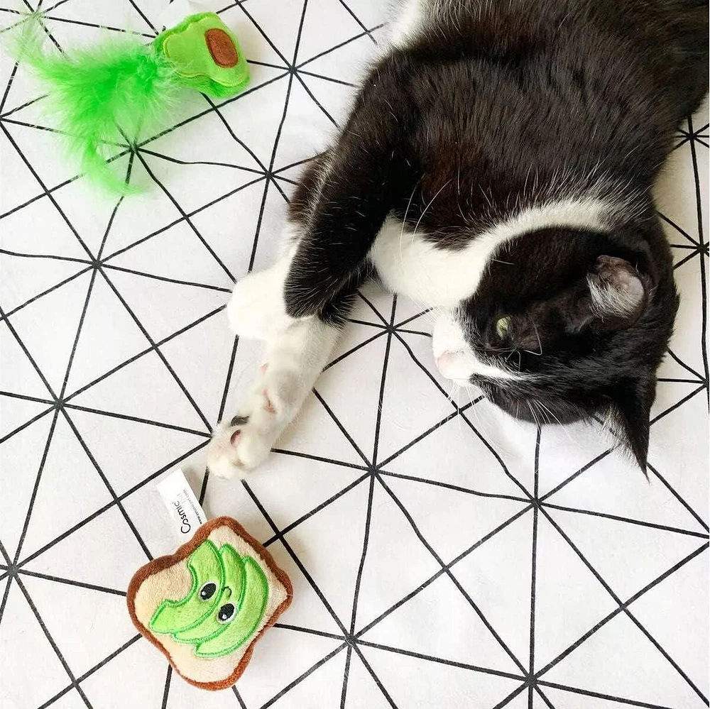 Quirky Kitty Avocado Toast Catnip Plush 2 Pack Cat Toy, 2 Pack Plush Toy