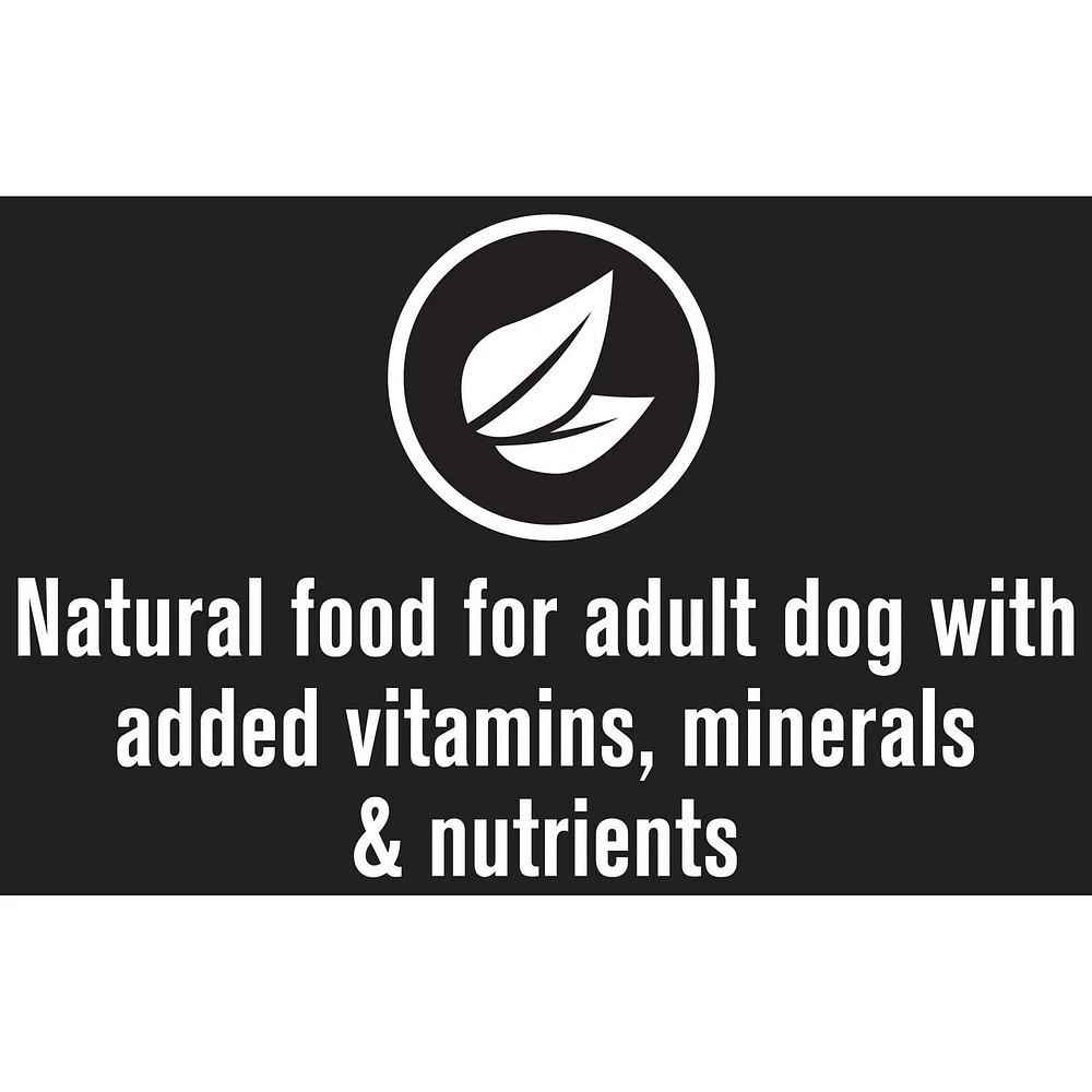 Nature's Recipe Grain Free Premium Paté Wet Dog Food, Chicken & Apple Recipe, 368g