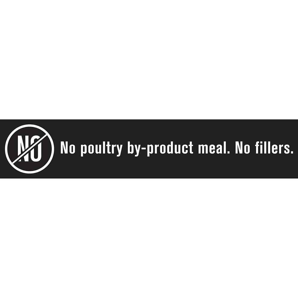 Nature's Recipe Grain Free Premium Paté Wet Dog Food, Chicken & Apple Recipe, 368g