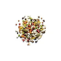 Zupreem Sensible Seed Bird Food For Medium Birds