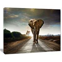 Design Art Single Walking Elephant Photography Canvas Art Print