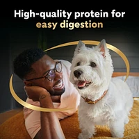 Nourriture humide pour chiens adultes CESAR pain classique en sauce Délices - format variété 24x100g