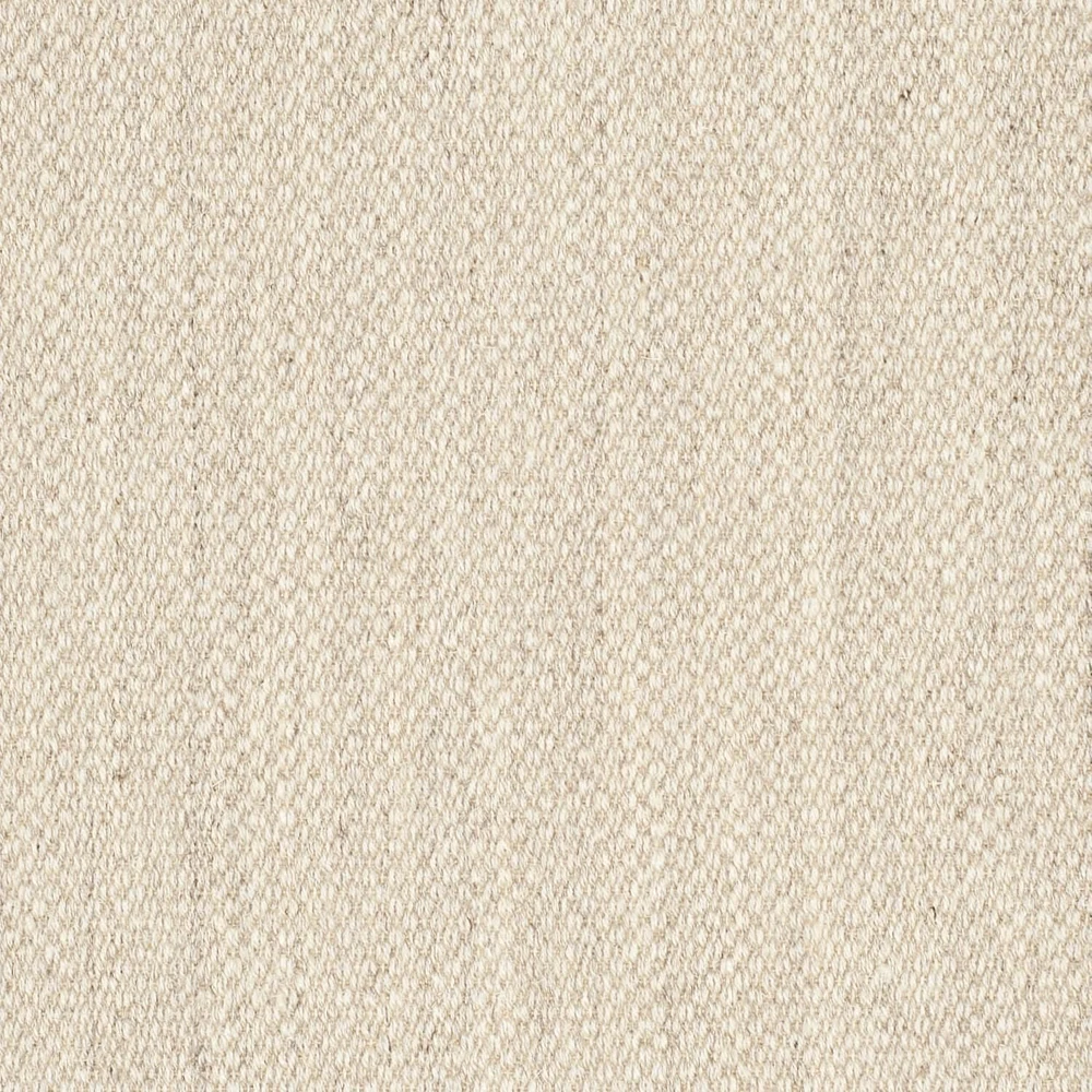 SAFAVIEH Natural Fiber Kentigern Border Area Rug