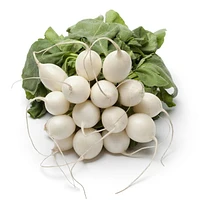 Radishes White Bunch, Sold in Singles, 0.40 - 1.00 kg