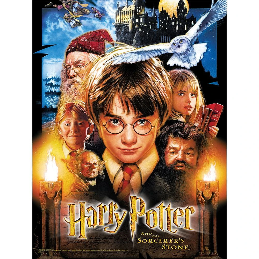 Harry Potter and the Sorcerer's Stone Puzzle