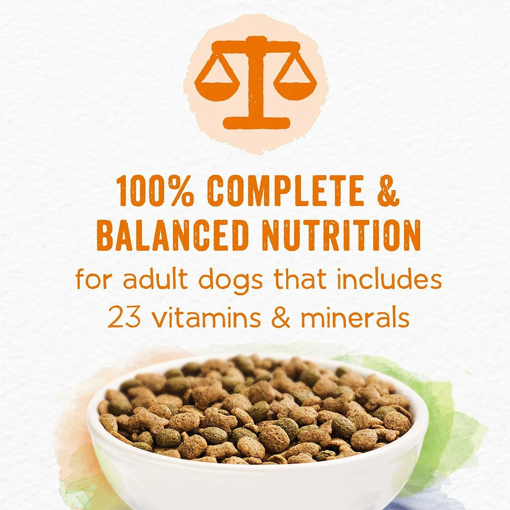Beneful Grain Free Chicken, Dry Dog Food 5.3 kg