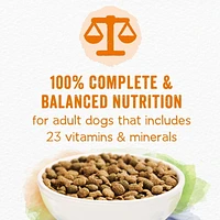 Beneful Grain Free Chicken, Dry Dog Food 5.3 kg