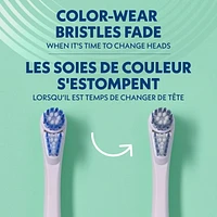Têtes de rechange pour brosse à dents électrique Spinbrush PRO CLEAN, soies moyennes, 2 unités Spinbrush PRO CLEAN