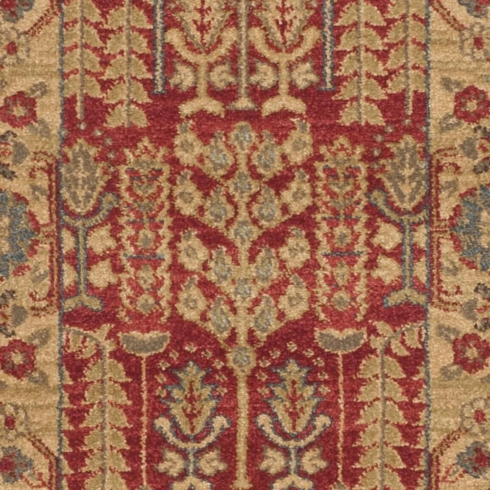 Safavieh Mahal Phylliss Traditional Area Rug