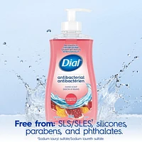 Dial Antibacterial Liquid Hand Soap, Pomegranate Tangerine, 325ml