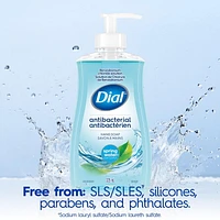 Dial Antibacterial Liquid Hand Soap, Spring Water, 325ml