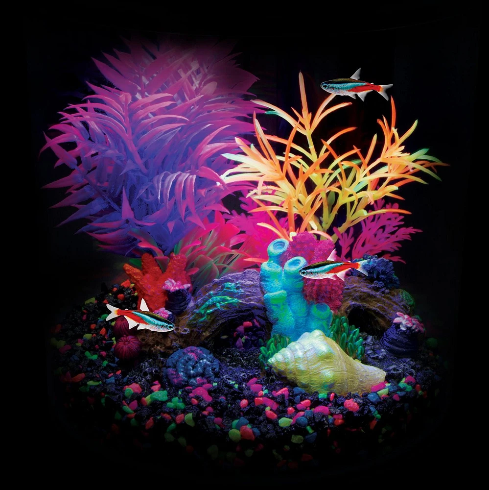 Marina iGlo Plant, 19 cm (7.5 in)