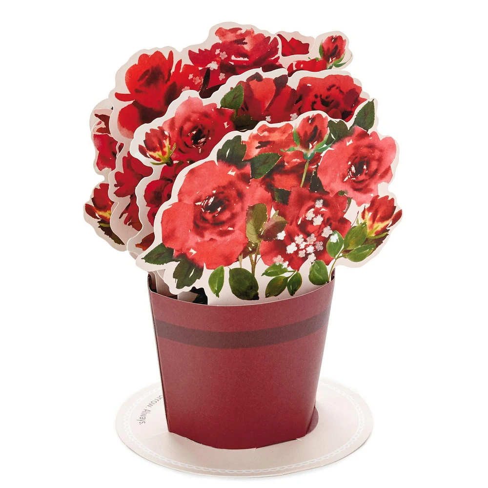 Hallmark Paper Wonder Pop Up Valentines Day Card, Displayable Bouquet (Today, Tomorrow, Always)