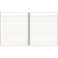 Cambridge GreenPath Medium Stripe Notebook, Notebook