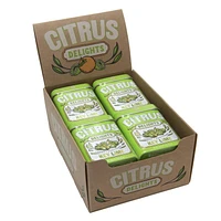 Citrus Delights - Key Lime, A Delightfully Refreshing and Tangy Treat