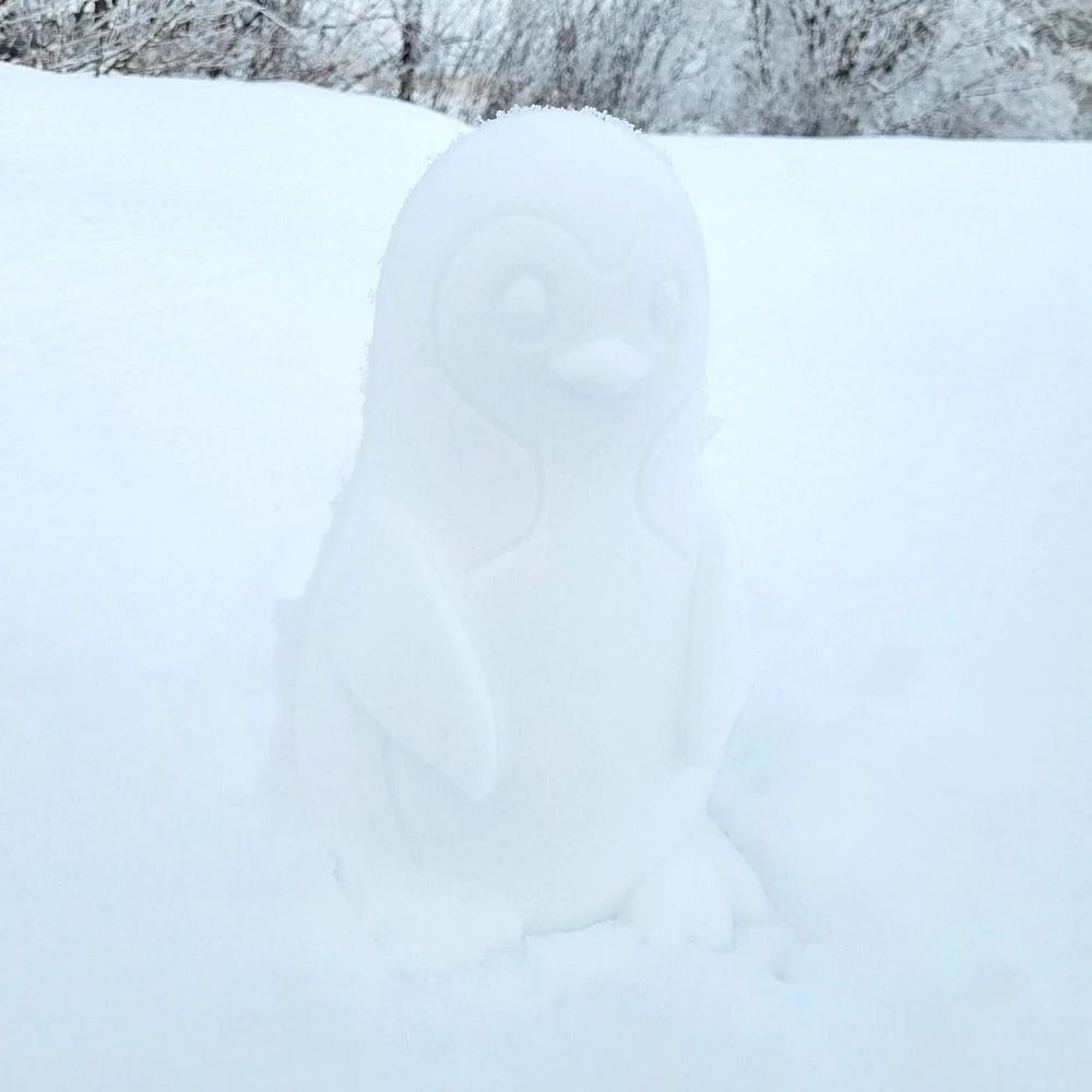 Snow Penguin Mold