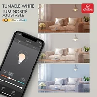 Globe Electric Wi-Fi Smart 10 Watt (60W Equivalent) Multicolor Changing RGB Tunable White Frosted LED Plastic Light Bulb, No Hub Required, Voice Activated, 2000K - 5000K, A19 Shape, E26 Base, 34202