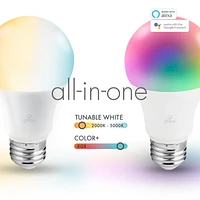 Globe Electric Wi-Fi Smart 10 Watt (60W Equivalent) Multicolor Changing RGB Tunable White Frosted LED Plastic Light Bulb, No Hub Required, Voice Activated, 2000K - 5000K, A19 Shape, E26 Base, 34202