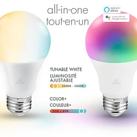 Globe Electric Wi-Fi Smart 10 Watt (60W Equivalent) Multicolor Changing RGB Tunable White Frosted LED Plastic Light Bulb, No Hub Required, Voice Activated, 2000K - 5000K, A19 Shape, E26 Base, 34202