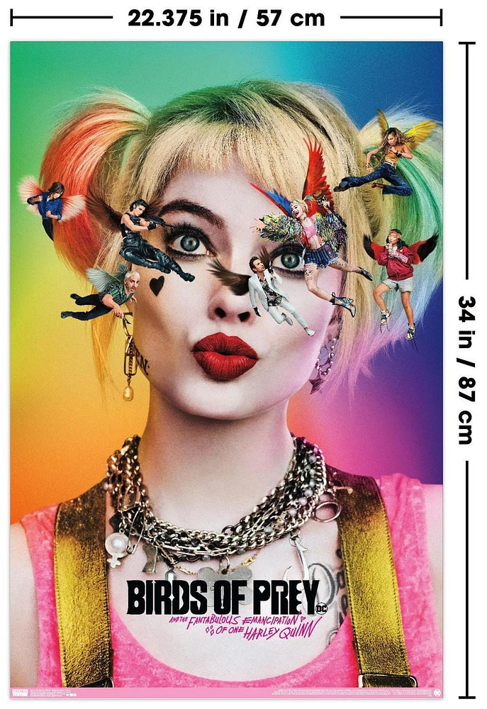 DC Comics Movie Birds Of Prey - Teaser Wall Poster, 22.375" x 34"