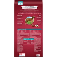 Purina ONE SmartBlend Large Breed Formula Chicken, Dry Dog Food, 7-17.5 kg