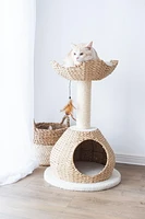 Catry Walk-Up Eco-Friendly Handwoven Cat Tree