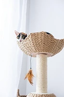 Catry Walk-Up Eco-Friendly Handwoven Cat Tree