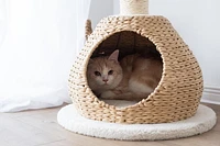 Catry Walk-Up Eco-Friendly Handwoven Cat Tree