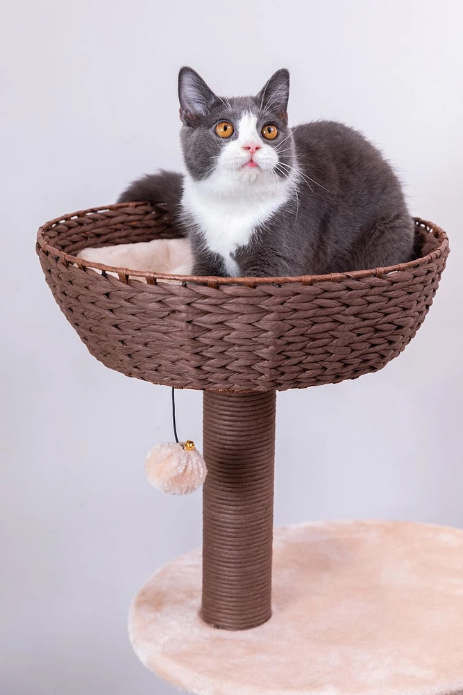 Catry Pharaoh Cat Tree