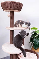 Catry Pharaoh Cat Tree