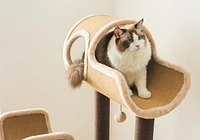 Catry Camel Large Carpeted Cat Tree with Scratchers & Toys