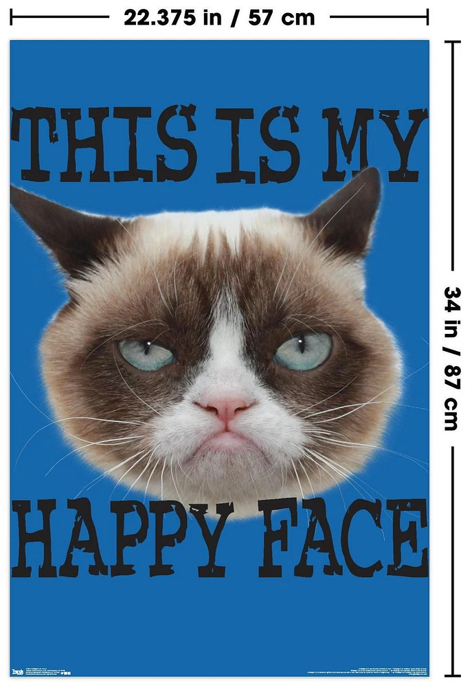 Grumpy Cat - Face Wall Poster, 22.375" x 34"