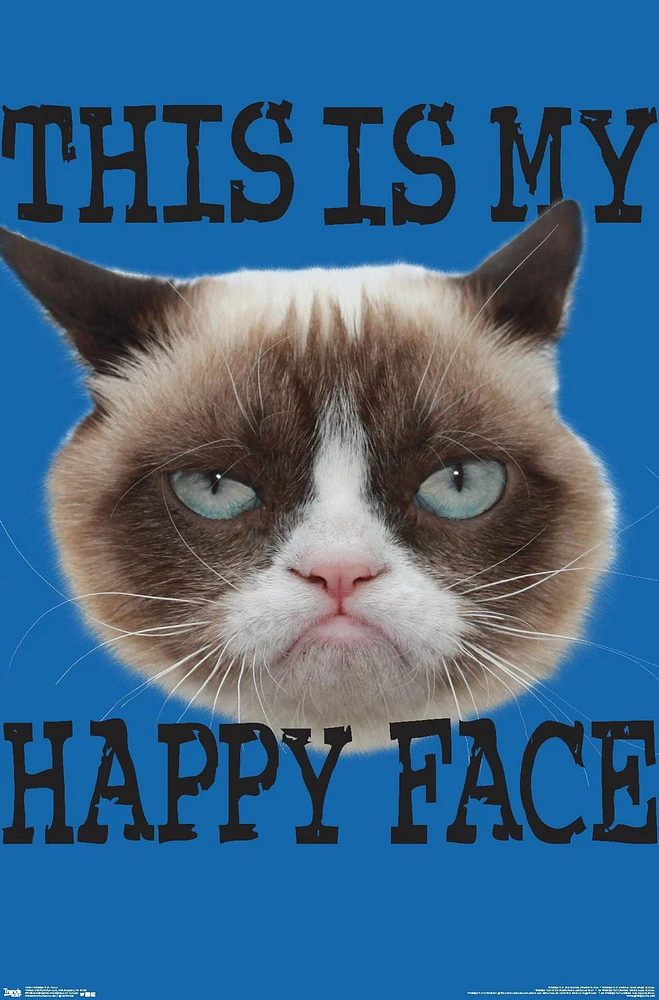 Grumpy Cat - Face Wall Poster, 22.375" x 34"