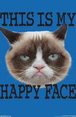 Grumpy Cat - Face Wall Poster, 22.375" x 34"