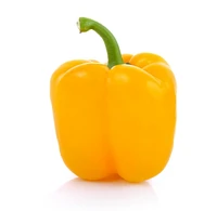 Pepper, Yellow, Sold in singles, 0.12 - 0.24 kg