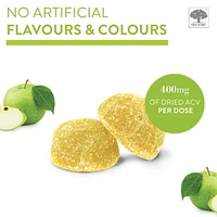 New Nordic Apple Cider Gummies - 60 gummies, Vegan and sugar free gummies