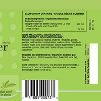 New Nordic Apple Cider Gummies - 60 gummies, Vegan and sugar free gummies