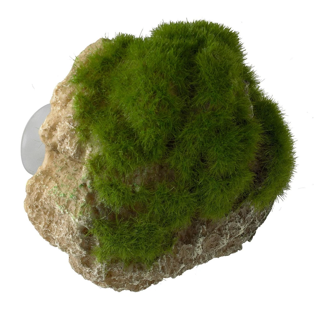 Aqua Della Moss Stone with Suction Cup - Small