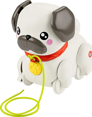 Fisher-Price Mon Carlin à Promener Âges 12M+