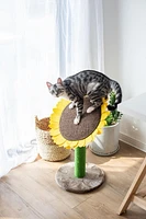 Catry Sunflower griffoir et lit pour chat avec jouet