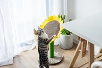 Catry Sunflower griffoir et lit pour chat avec jouet