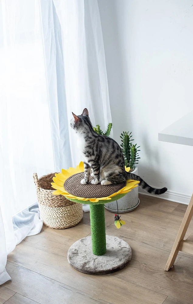 Catry Sunflower griffoir et lit pour chat avec jouet