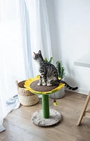 Catry Sunflower griffoir et lit pour chat avec jouet