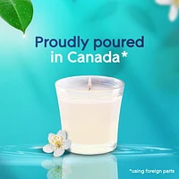 Glade® Chandelle parfumée, Pétales et Gouttes de Rosée chandelle à une mèche