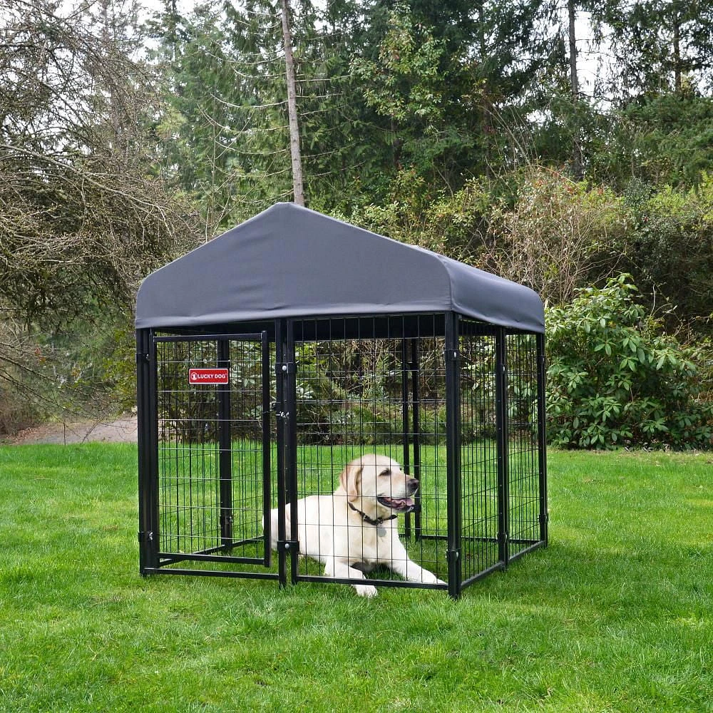 Lucky Dog ® STAY Series™ Studio 4ft x 4ft x 4’4in Jr. Kennel, Steel Grey