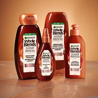 Garnier Whole Blends Coconut Oil & Cocoa Butter Leave-In Treatment, 150 mL, Smoothing Oil for frizzy hair